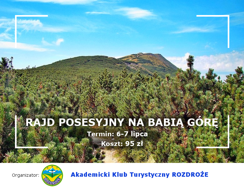 000_wzór postu